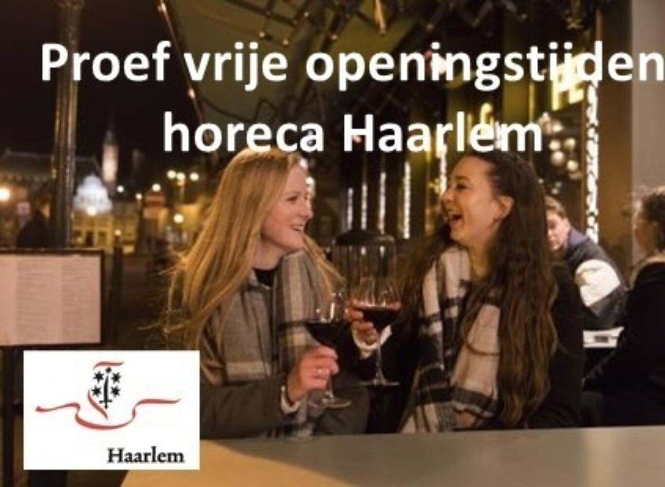 Enquete actieplan Haarlem Cropped